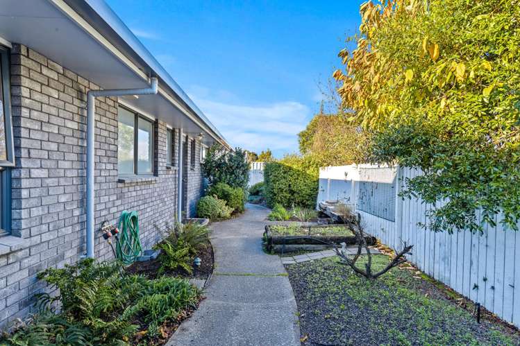 41a Howick Road Redwoodtown_24