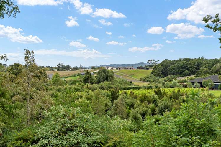 84 Cooper Road Ramarama_34