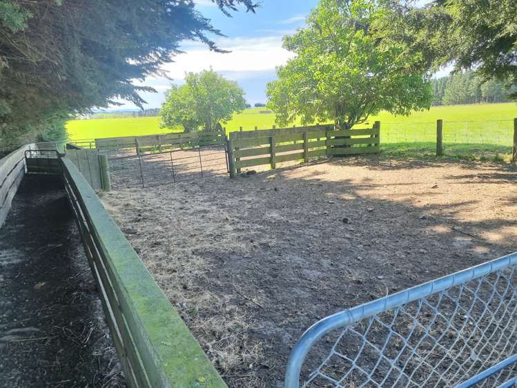 199 Moa Hill Road Clinton and Surrounds_8