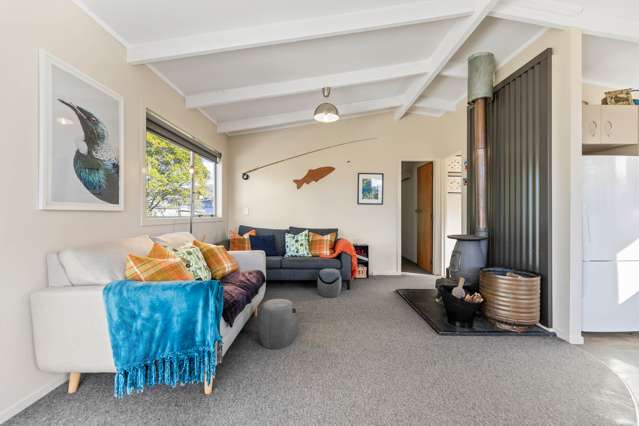 13 Rangiwhero Street Omori_2