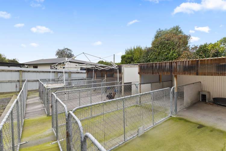 95 Vineyard Road Te Kauwhata_23