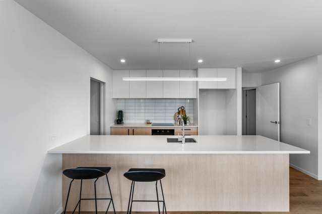 152 Ed Hillary Drive Rolleston_2