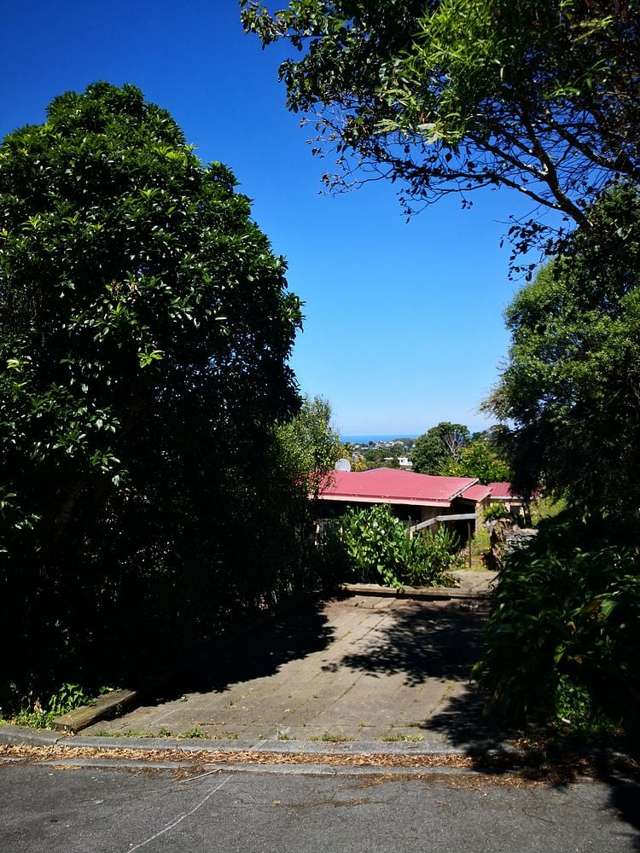 44 Mitchell Street Brooklyn_2