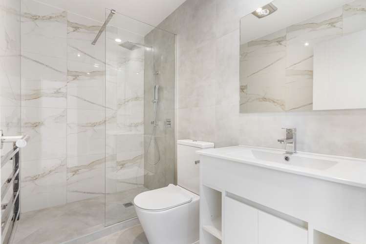 11 Serpent Road Flat Bush_11