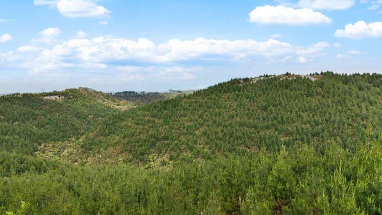 937 Klondyke Road Port Waikato_4