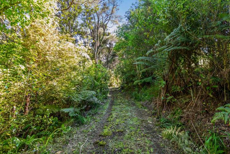 565 Whitford Road Whitford_12