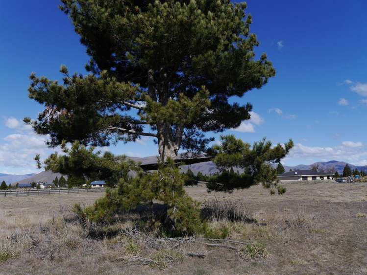 7 The Drive Twizel_11