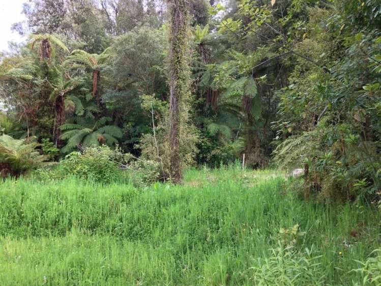 7 Punga Grove Lake Kaniere_6