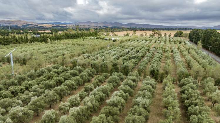 179 Racecourse Road Amberley_39