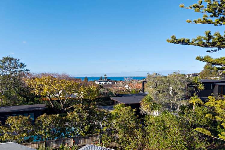 17 Hastings Road Mairangi Bay_1