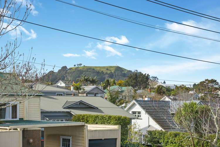 17 Dexter Avenue Mount Eden_22