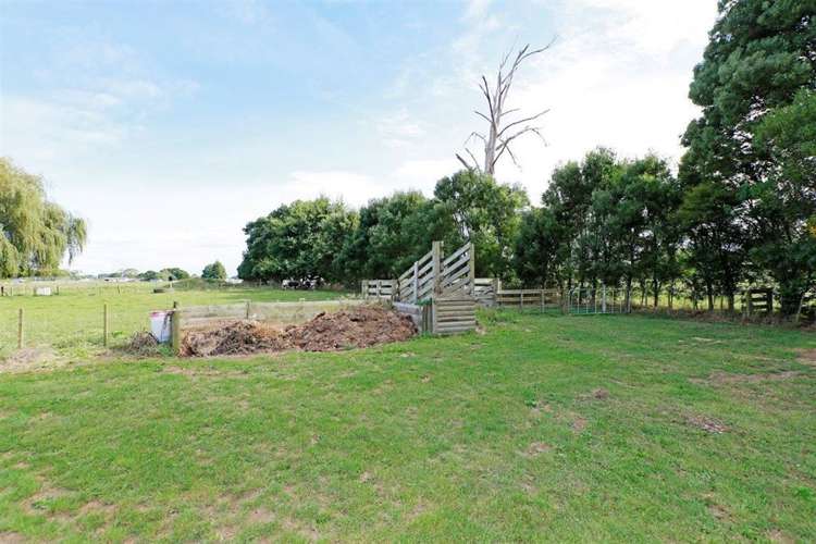 67a Davison Road Newstead_3