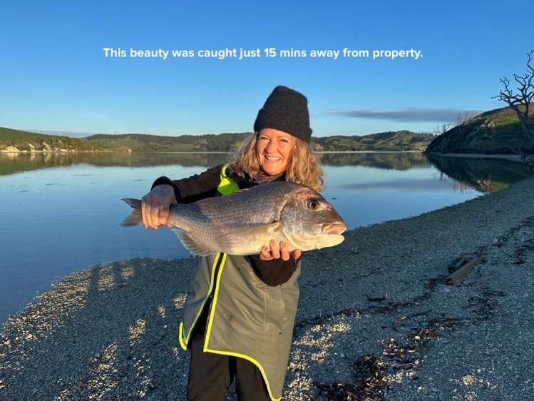 65B Otara Road Kaiwaka_41