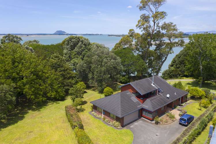 22 Myrtle Drive Omokoroa_0