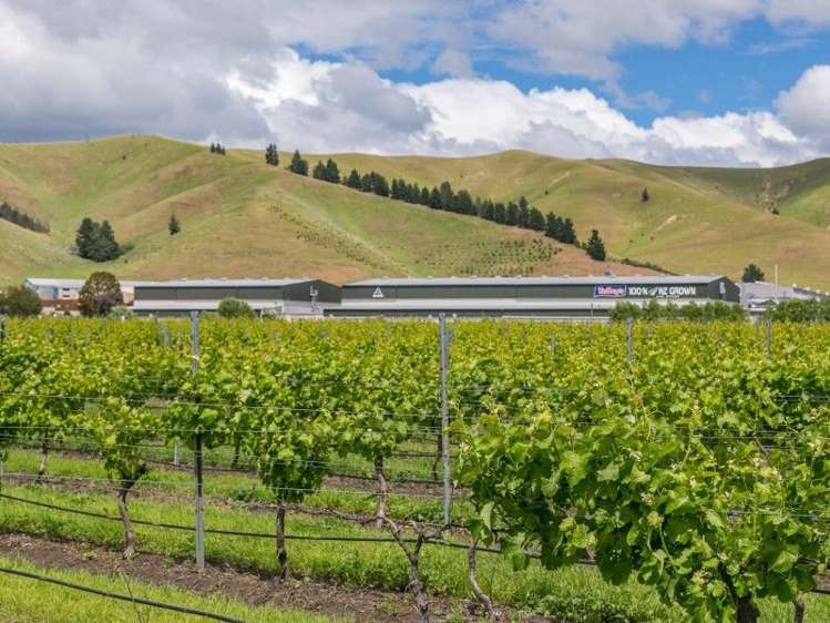 3516 State Highway 1 Riverlands_12