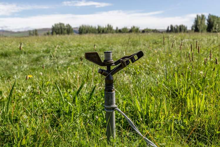 143 Culverden Road Culverden_24