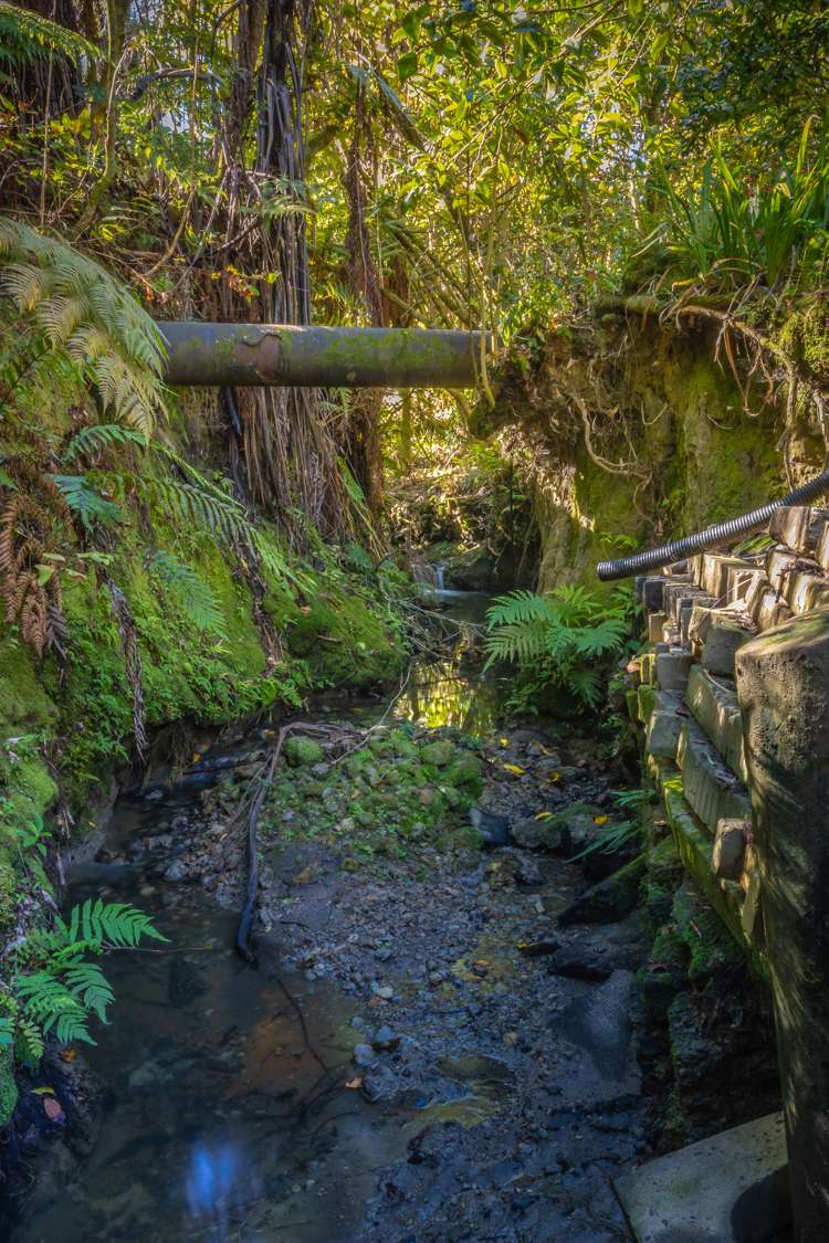 29 Durie Vale Road Durie Hill_16