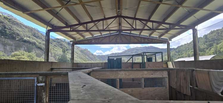 2109 Okau Road Ahititi_24