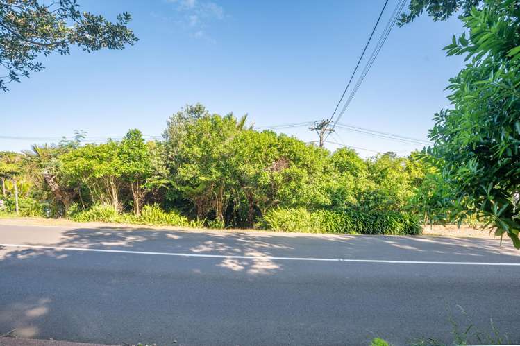 54 Goodwin Avenue Oneroa_6