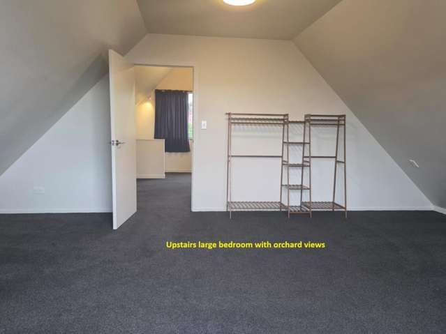 Unit/220 Te Puna Road RD6 11556_3