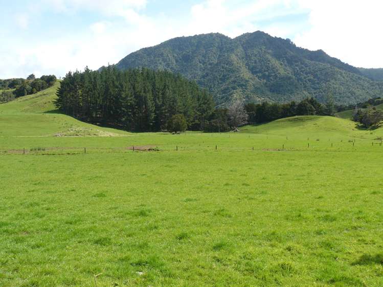 259 Diggers Valley Road Herekino_6