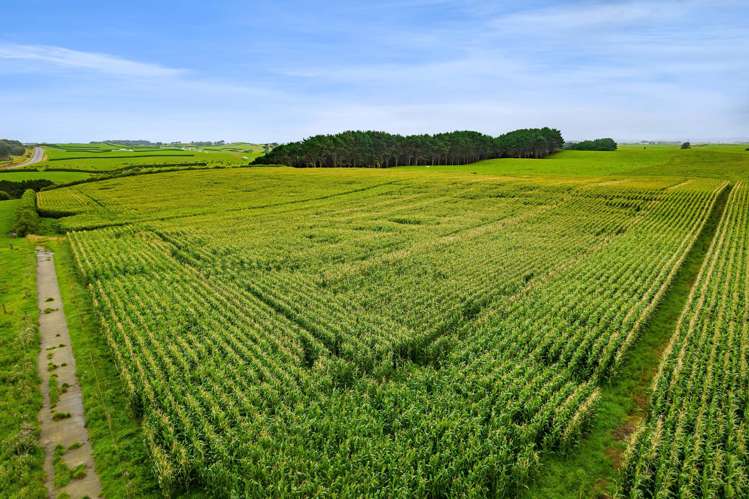 41a Ball Road Kakaramea_18