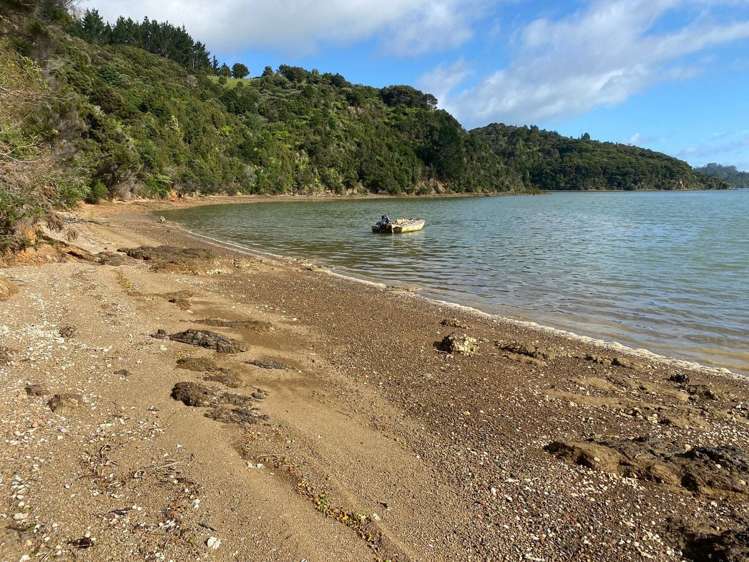 114 Ranui Road Karetu_3