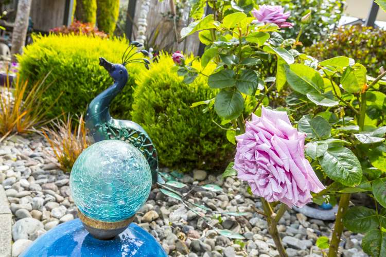 11a Ormrod Grove Riverstone Terraces_22