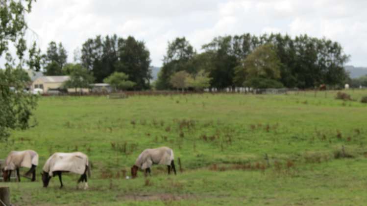 550 Papakura-Clevedon Road Ardmore_7