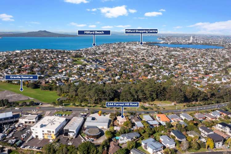 244 Forrest Hill Road Forrest Hill_24