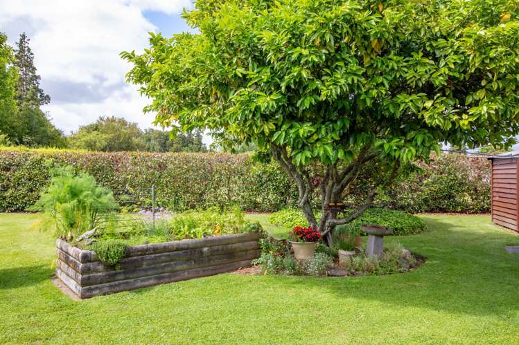 2 Heron Court Te Kowhai_30
