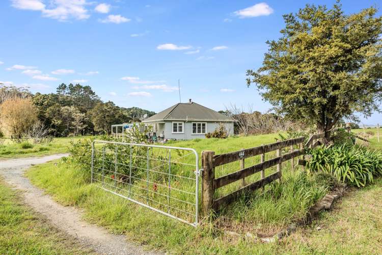 444 Brown Road Kaiwaka_3