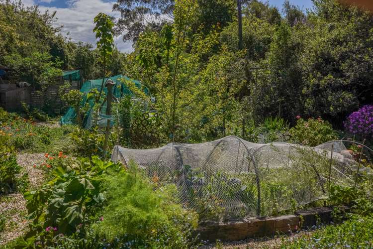 509 Conway Flat Road Cheviot_28