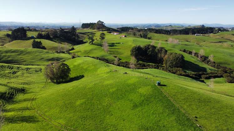 336 Dominion Road Tuakau_4