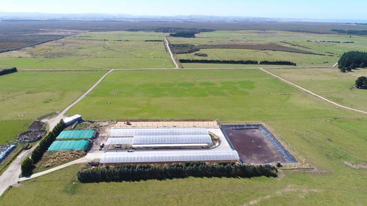 235 Waituna Lagoon Road Wyndham Surrounds_13