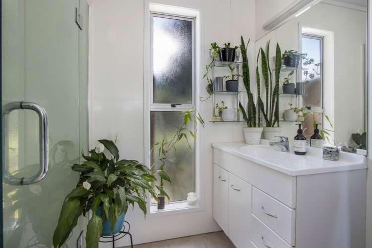 38 Kitchener Street Waihi_10