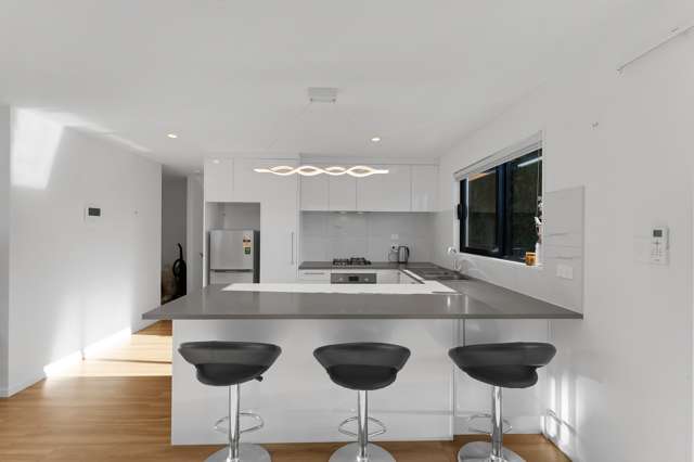 29d Rata Street New Lynn_2