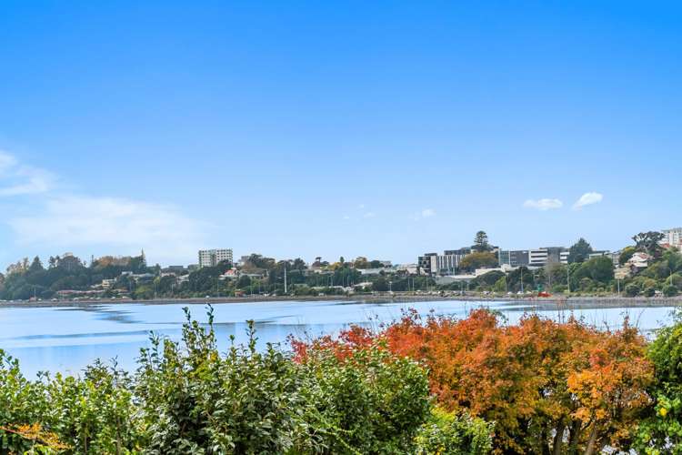 20b Montgomery Road Judea_10