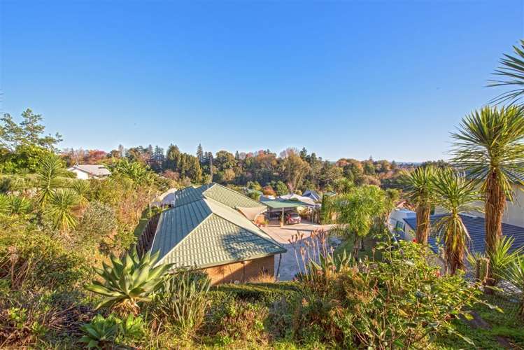 171 Carlton Street Bellevue_11