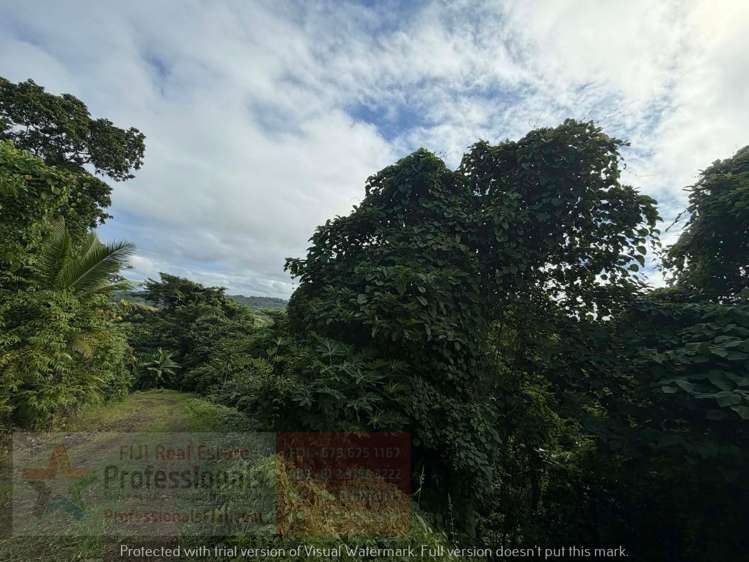 Address withheld Savusavu_10