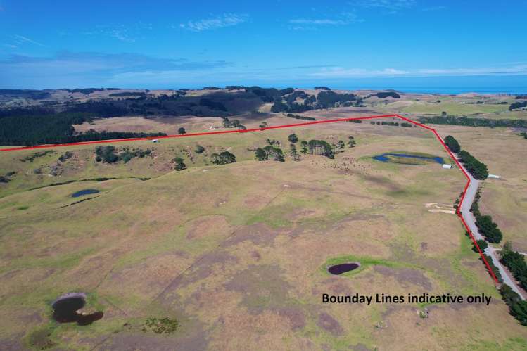 1008 Te Maire Road Te Kopuru_21