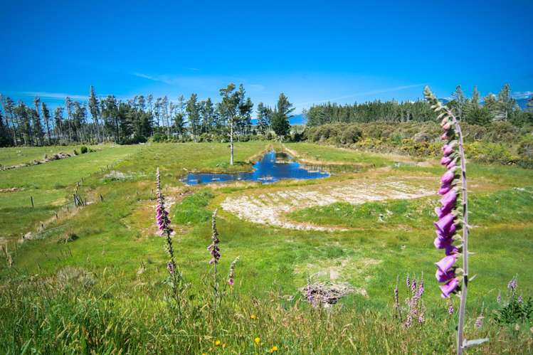 170 Alma Road Westport_24