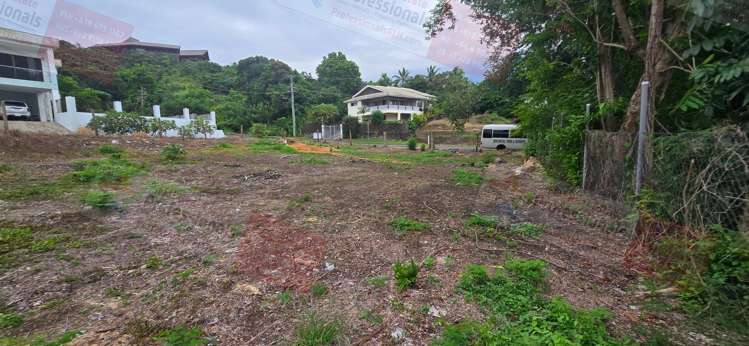 Address withheld Sigatoka_21