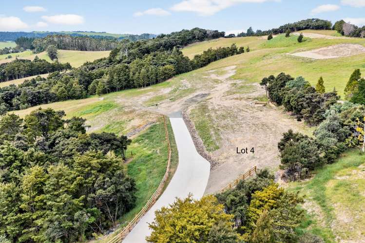 Mangawhai Bush Estate Mangawhai_17