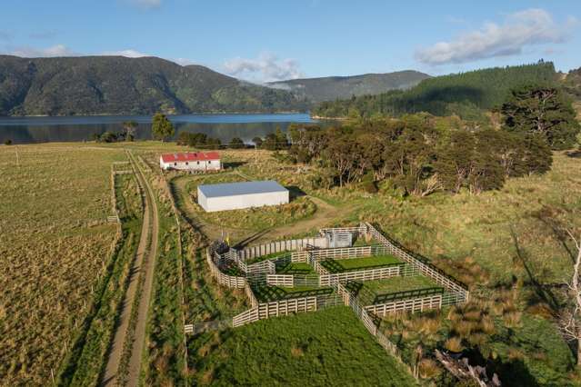 4710 Kenepuru Road Marlborough Sounds_4