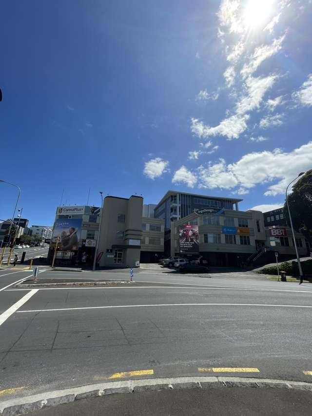 1 Beaumont Street Freemans Bay_4