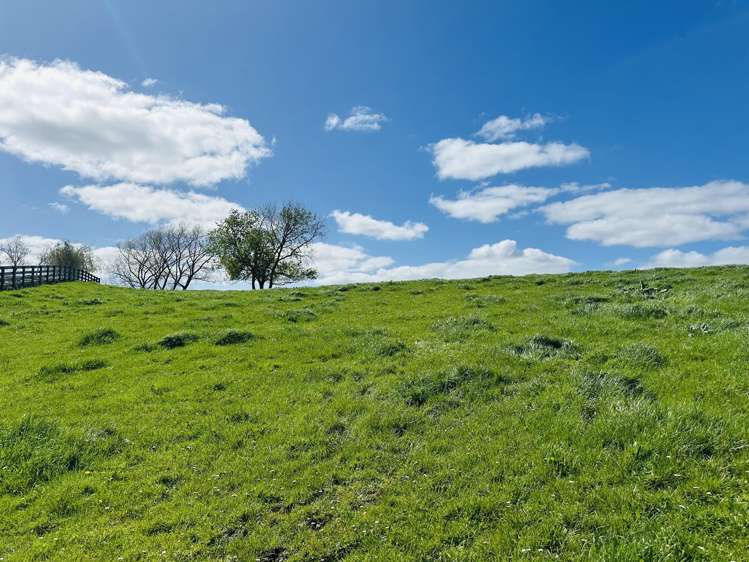 78B Falls Road Te Kauwhata_15