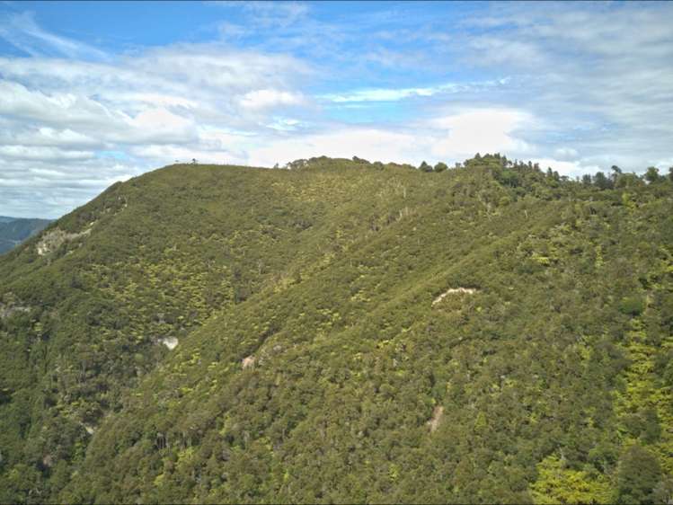 Rakutangi Road Ruatiti_18