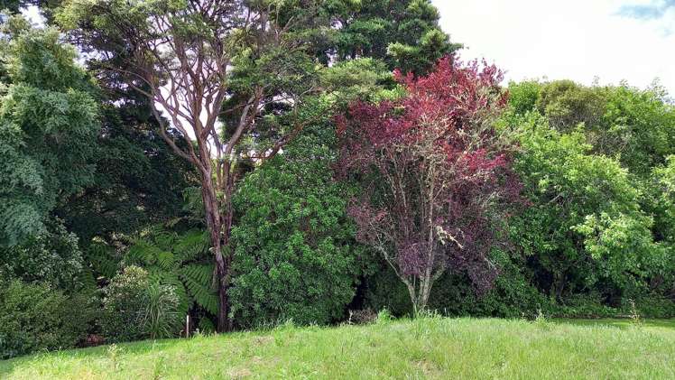 75b Woodcocks Road Warkworth_17