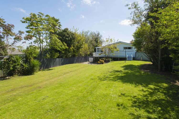 113a Sheehan Street Whataupoko_16